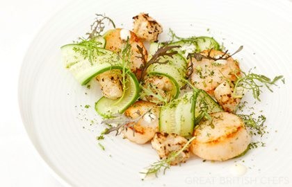 Scallops with cucumber, lime and baby leaf