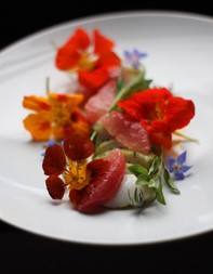 Scallops with fresh herbs, pine, grapefruit and geranium
