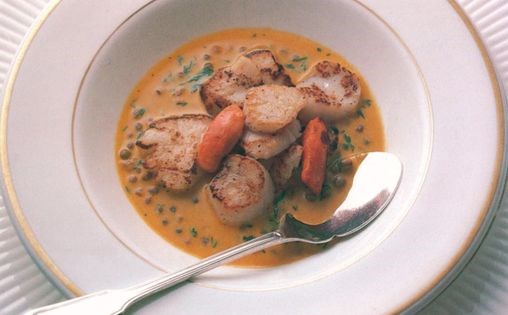 Scallops with lentil and coriander sauce [Shaun Hill]