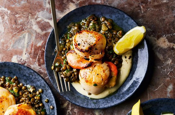 Scallops with lentils & fennel cream