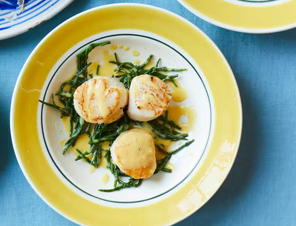 Scallops with lime pickle beurre blanc and samphire