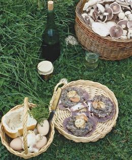 Scallops with mushroom sauce