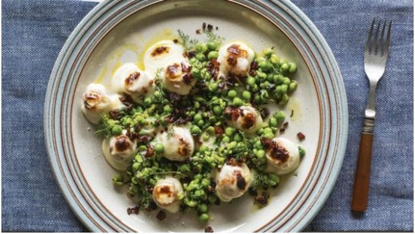 Scallops with pancetta Mornay and pea salsa