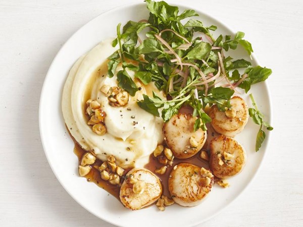 Scallops with parsnip puree 