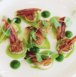 Scallops with pea puree, crispy pancetta and mint