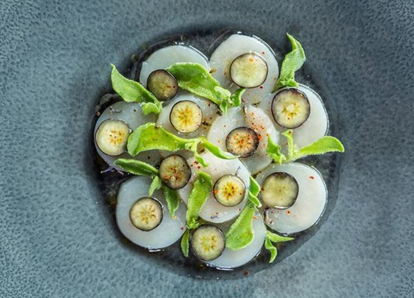 Scallops with pickled blueberries and lavender