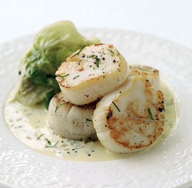 Scallops with tarragon cream and wilted butter lettuce