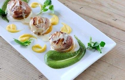 Scallops wrapped in prosciutto ham with butternut squash and watercress purée