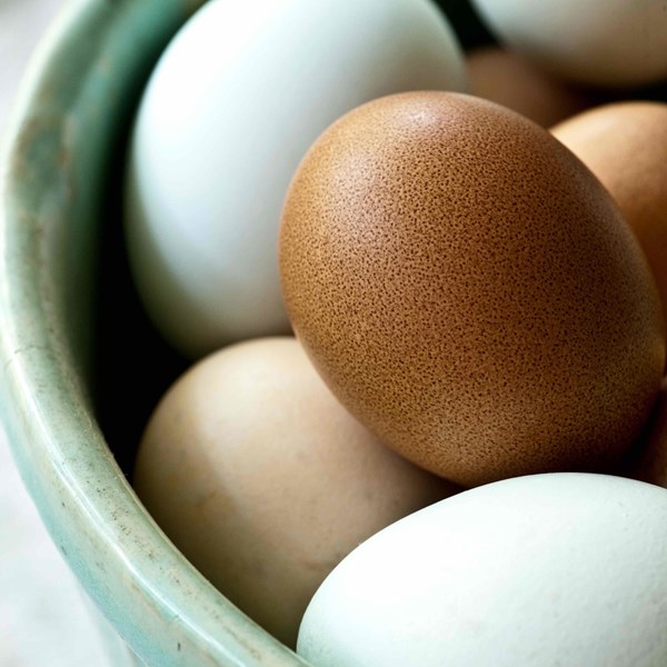 Scrambled eggs
