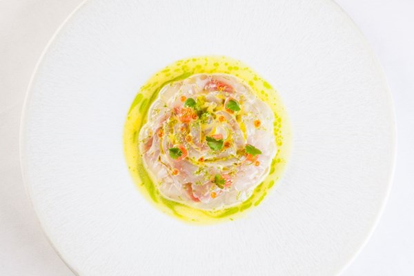  Sea bream ceviche with citrus vinaigrette and lime zest
