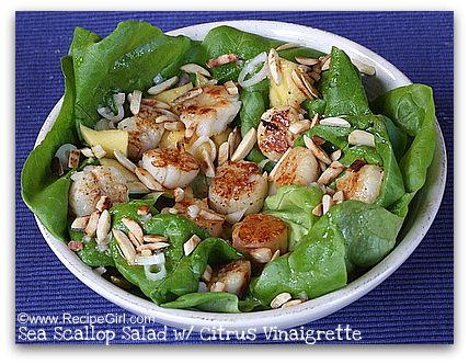 Sea scallop salad with citrus vinaigrette