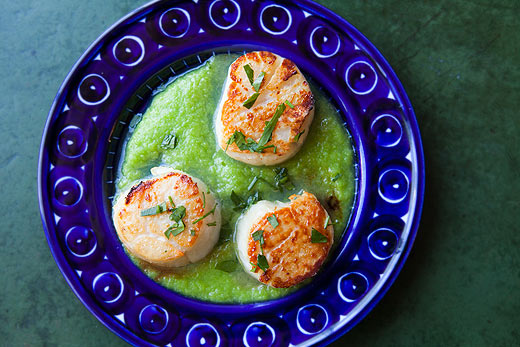 Sea scallops with asparagus sauce