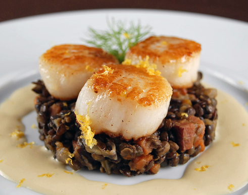 Sea scallops with Puy lentils and fennel cream