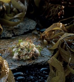 Sea tastes