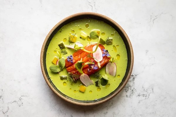 Sea trout, cucumber and dill gazpacho, kefir, radish, borage