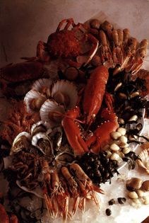 Seafood platter (Assiette de fruits de mer)