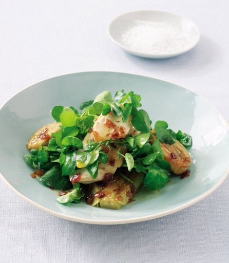Seared chicken and fennel salad with a sweet-and-sour red onion dressing