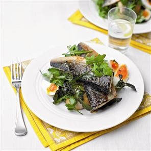 Seared mackerel and horseradish salad