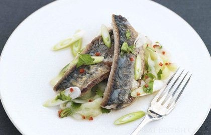 Seared mackerel with chilli, cucumber, spring onion and coriander