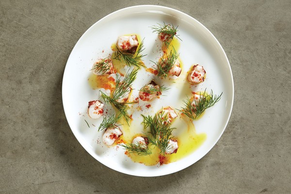 Seared octopus with fennel pollen and smoked paprika
