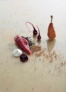 Seared pigeon with coconut yoghurt, chocolate boudin noir, blackcurrant and shichimi