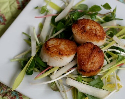 Seared scallop salad