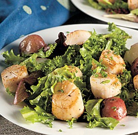 Seared scallop salad