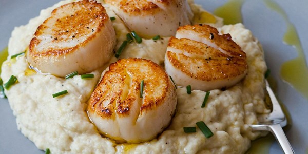 Seared scallops and potato celery root purée