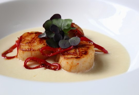 Seared scallops on corn "cream"