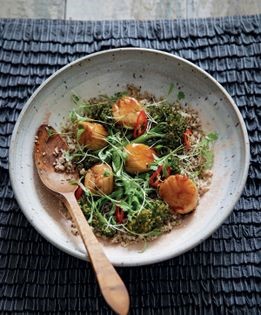 Seared scallops on quinoa brown seeded rice