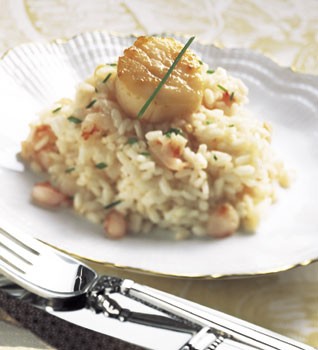Seared scallops on shrimp and truffle risotto
