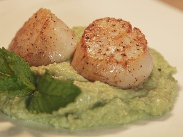 Seared scallops over English pea puree