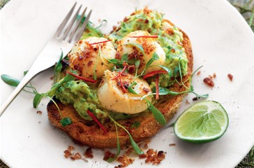 Seared scallops with bacon dust and crushed avocado on toast