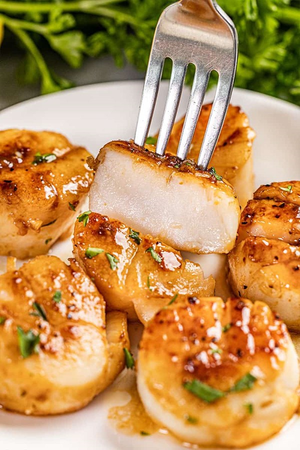 Seared scallops with cilantro-lime sauce