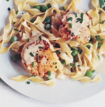 Seared scallops with creamy noodles and peas
