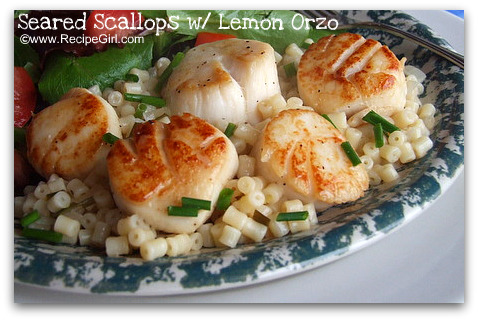 Seared scallops with lemon orzo