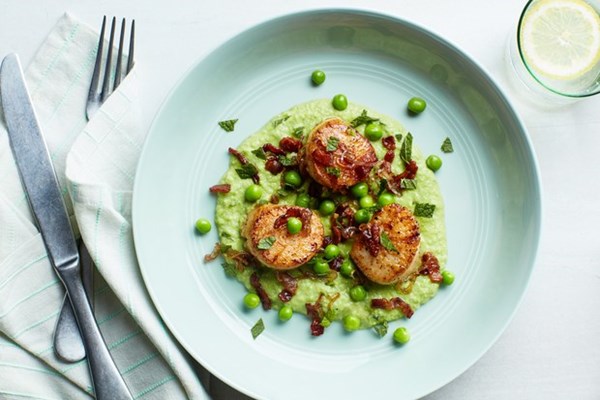 Seared scallops with mint, peas, and bacon 