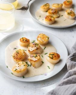 Seared scallops with roasted-garlic sabayon