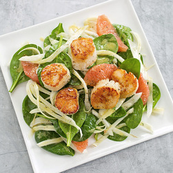 Seared scallops with spinach, fennel, and grapefruit salad