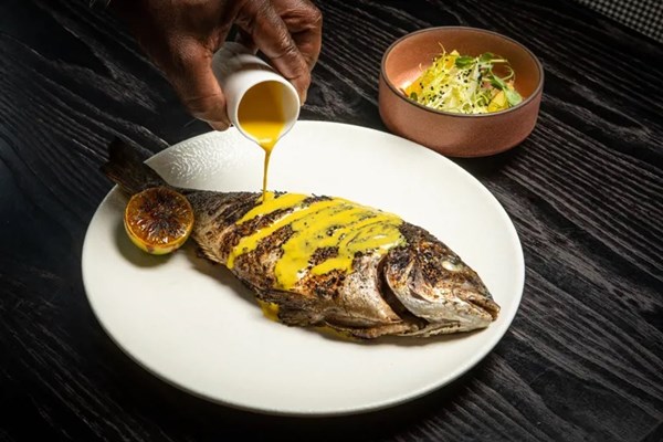 Seared sea bream with shaved fennel salad, saffron and Le Gruyère AOP cheese sauce