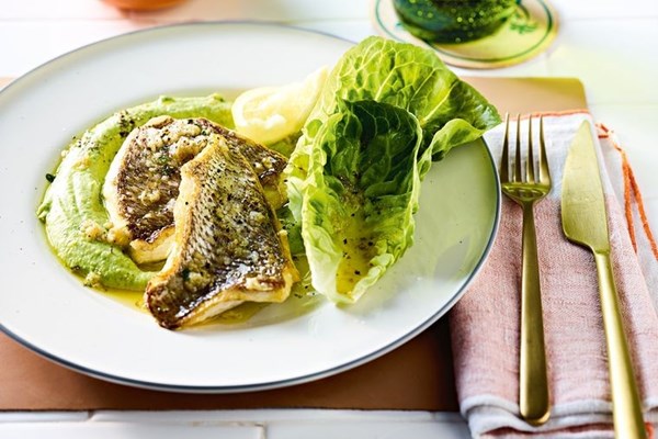 Seared snapper with creamed broccoli and lettuce