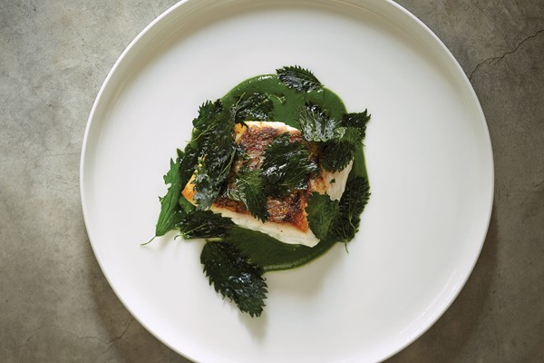 Seared snapper with nettle sauce