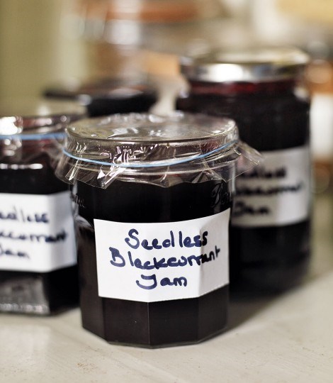 Seedless blackcurrant jam