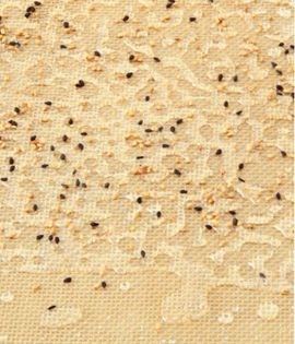 Sesame tuile