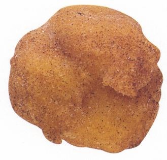 Sfingi