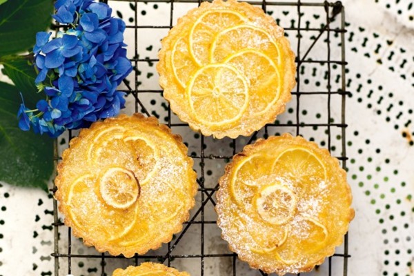 Shaker lemon tarts