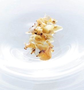 Shaved tulip shell mollusc, takuan pickles, kinome