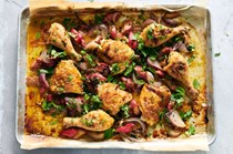 Sheet-chicken with rhubarb and red onion