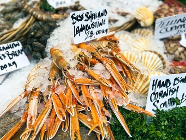 Shellfish stock