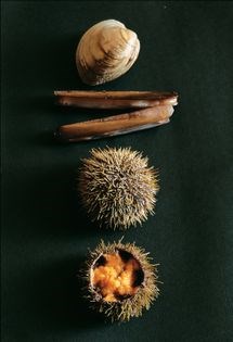 Shellfish with vinegar (Coquillages au vinaigre)